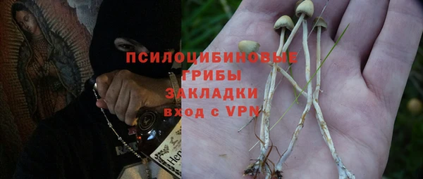 прущая мука Бугульма