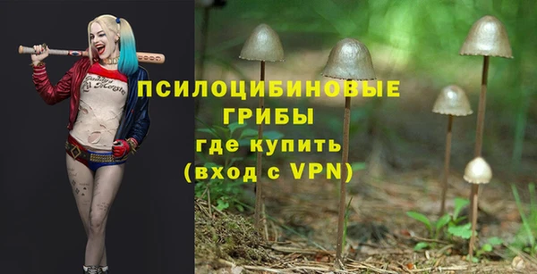 jwh Бронницы