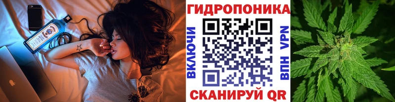 Шишки марихуана VHQ  Купить  Верхняя Пышма 